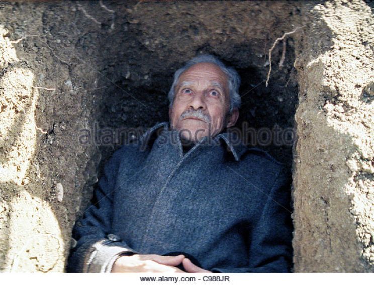 Bahman Ghobadi