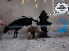 Banksy