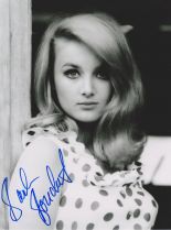 Barbara Bouchet #765995 picture (Portrait Medium)