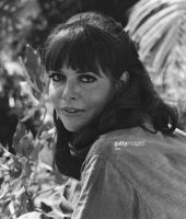 Barbara Feldon