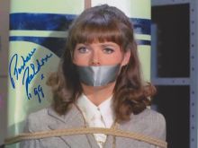 Barbara Feldon