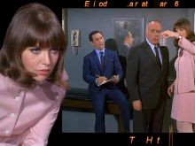 Barbara Feldon