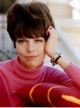 Barbara Feldon