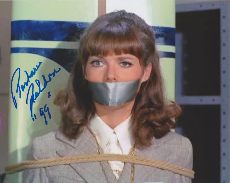 Barbara Feldon