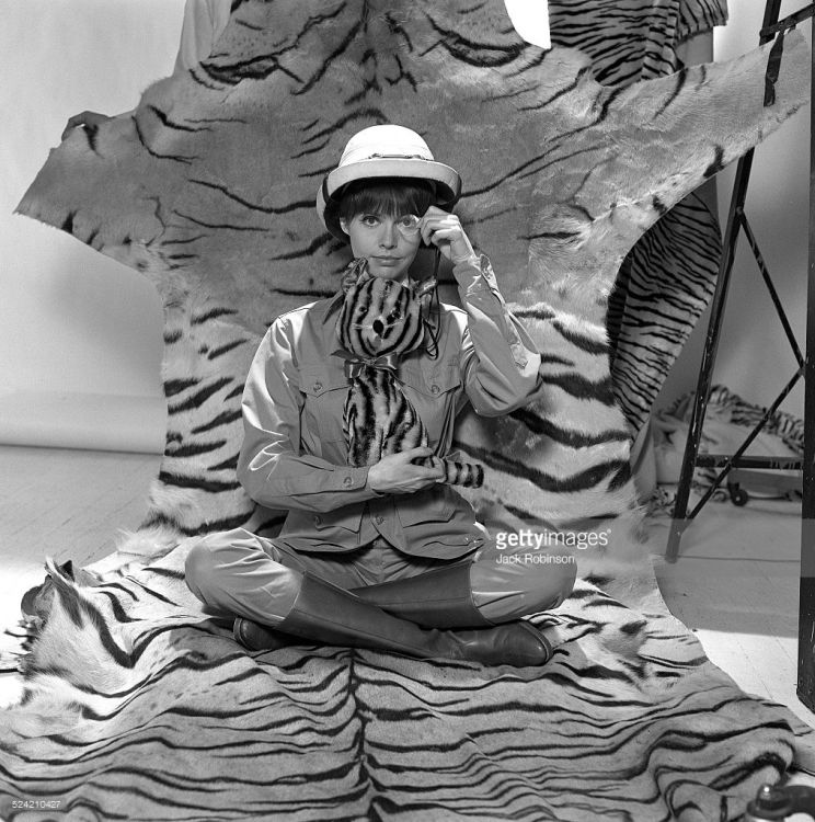 Barbara Feldon