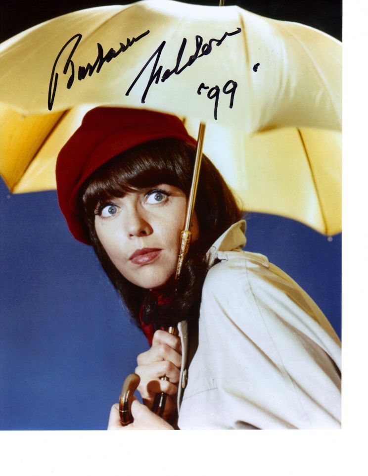 Barbara Feldon