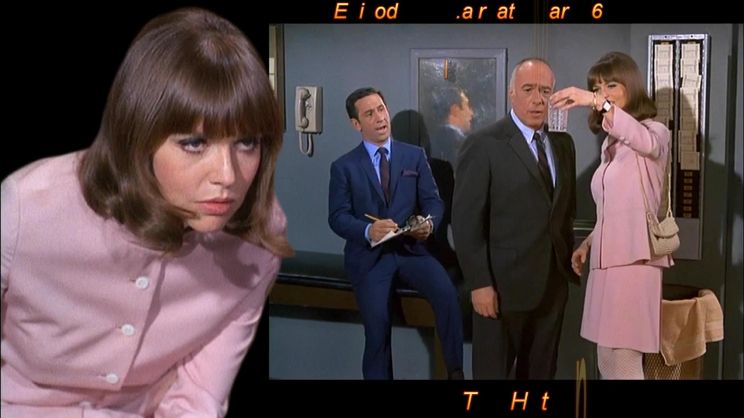Barbara Feldon