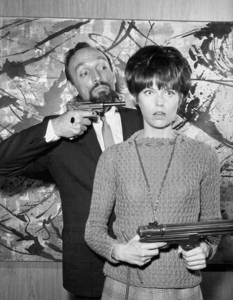 Barbara Feldon