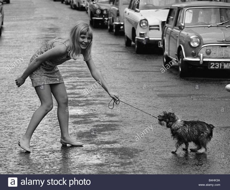 Barbara Ferris