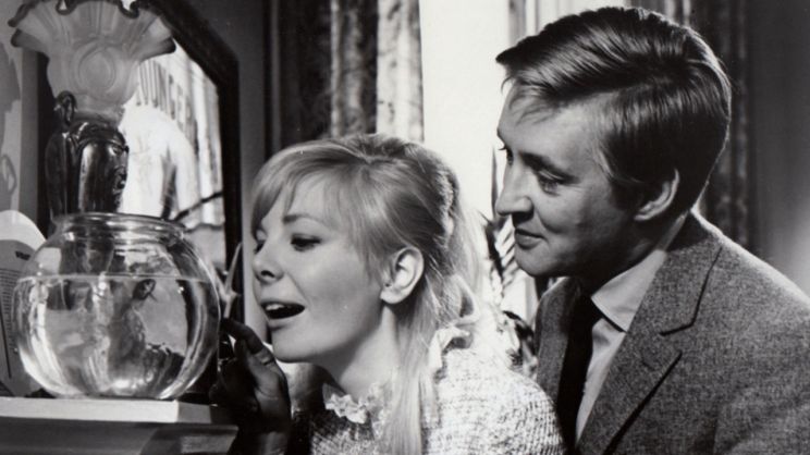 Barbara Ferris