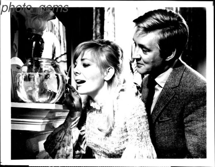 Barbara Ferris
