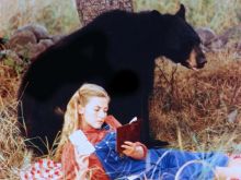 Barbara Marineau