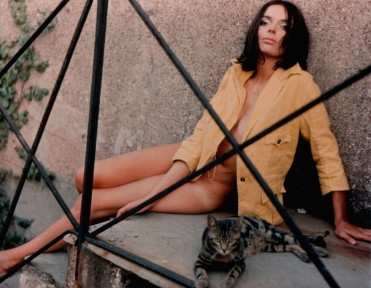 Barbara Steele