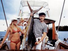 Barbi Benton photo