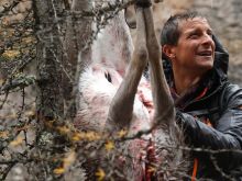 Bear Grylls