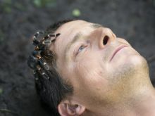 Bear Grylls