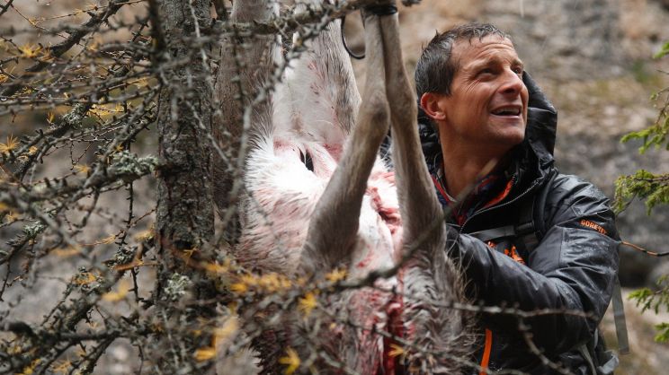 Bear Grylls