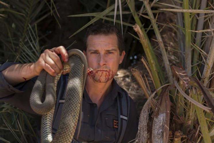 Bear Grylls