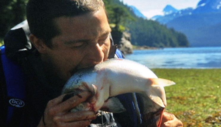Bear Grylls