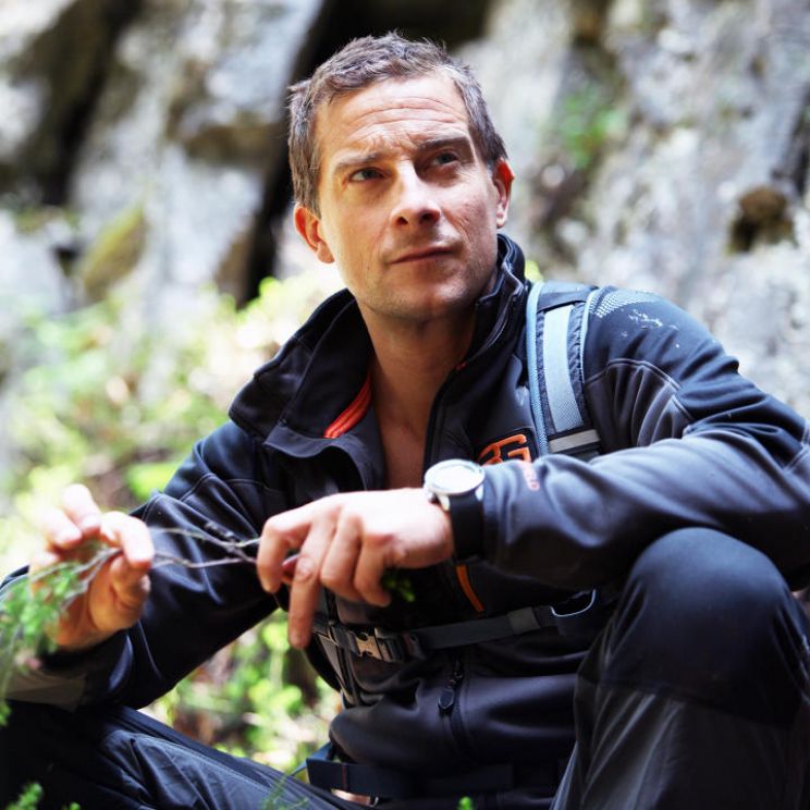 Bear Grylls