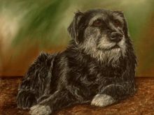 Bear the Dog