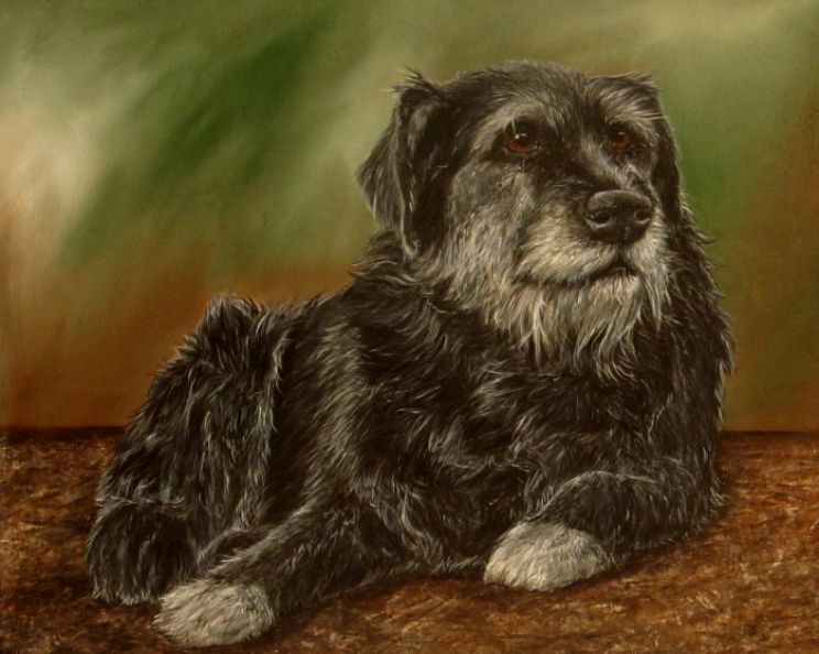 Bear the Dog