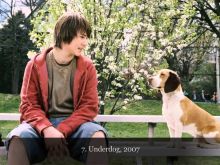 Beasley the Dog