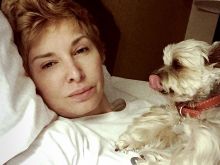 Beasley the Dog