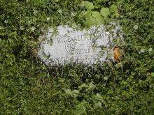 Beatrice Alda