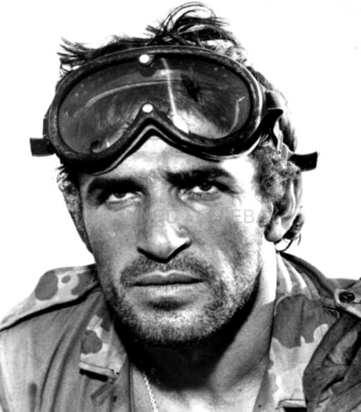 Bekim Fehmiu