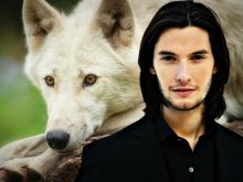 Ben Barnes photo