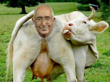 Ben Stein