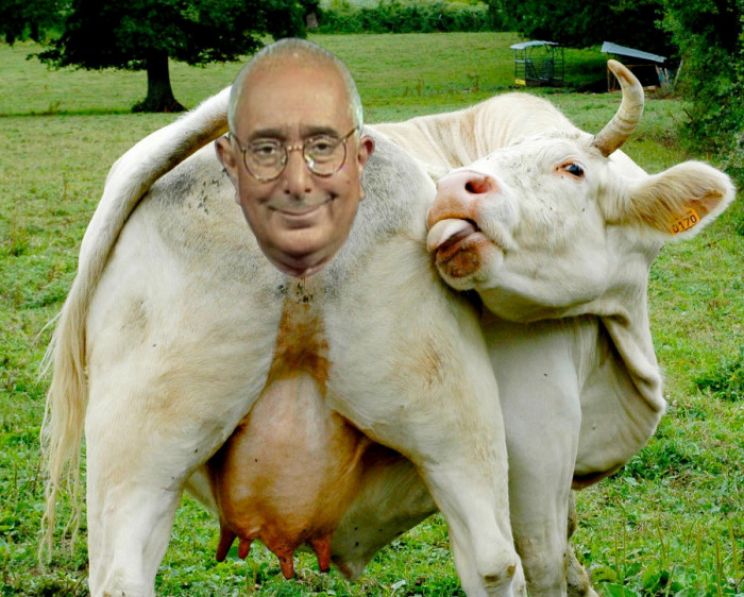 Ben Stein