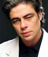 Benicio Del Toro