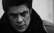 Benicio Del Toro