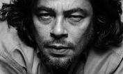 Benicio Del Toro