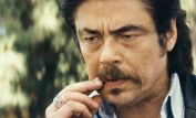 Benicio Del Toro