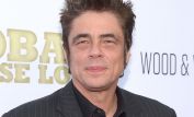 Benicio Del Toro