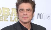 Benicio Del Toro