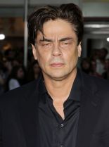 Benicio Del Toro