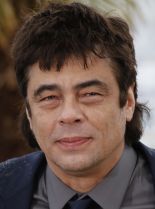 Benicio Del Toro