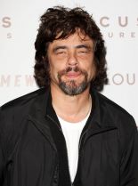 Benicio Del Toro