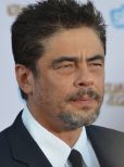 Benicio Del Toro