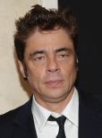 Benicio Del Toro