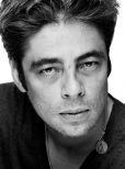 Benicio Del Toro