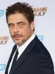 Benicio Del Toro