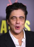 Benicio Del Toro