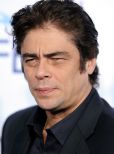 Benicio Del Toro