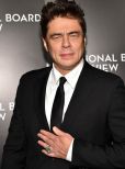 Benicio Del Toro