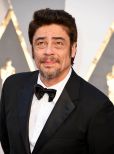 Benicio Del Toro